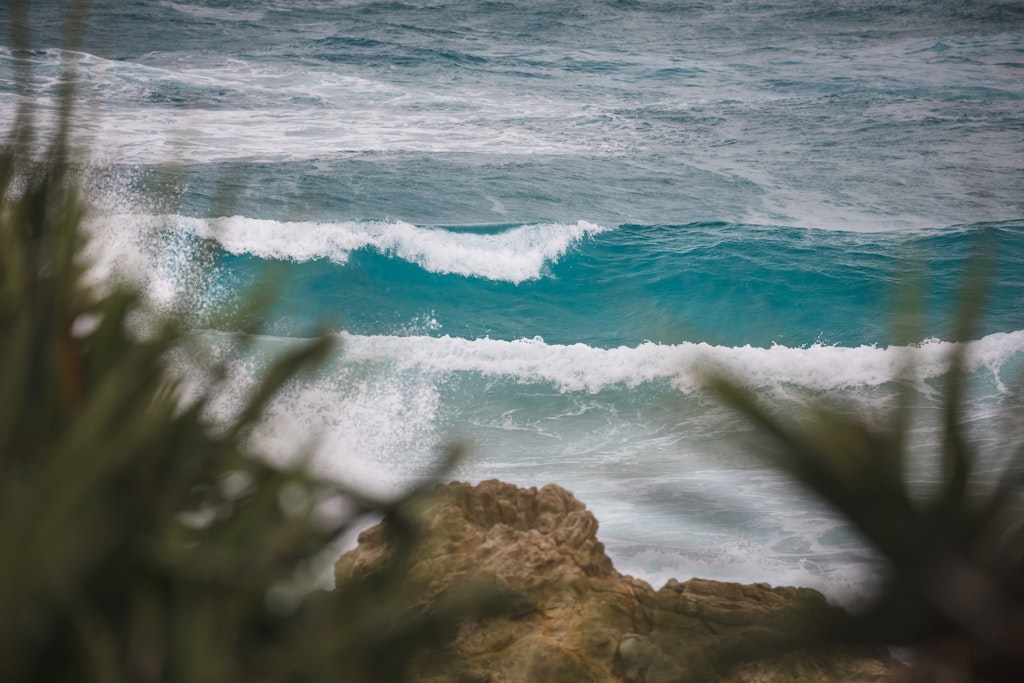 Pandanus - Snapshots of Straddie. Wall Art Landscape and Seascape Photography by Julie Sisco. Photos from North Stradbroke Island, Queensland, Australia....