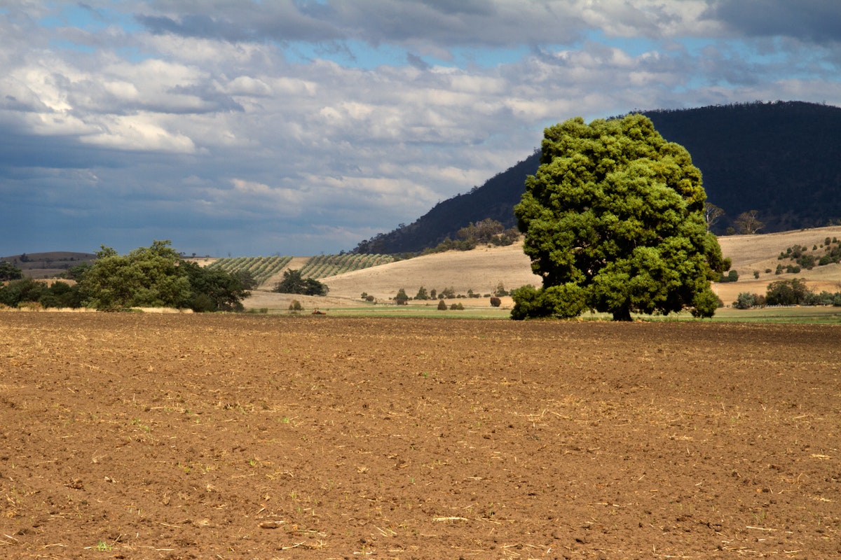 Tasmania Coal River Valley ClickedbyNic Photography