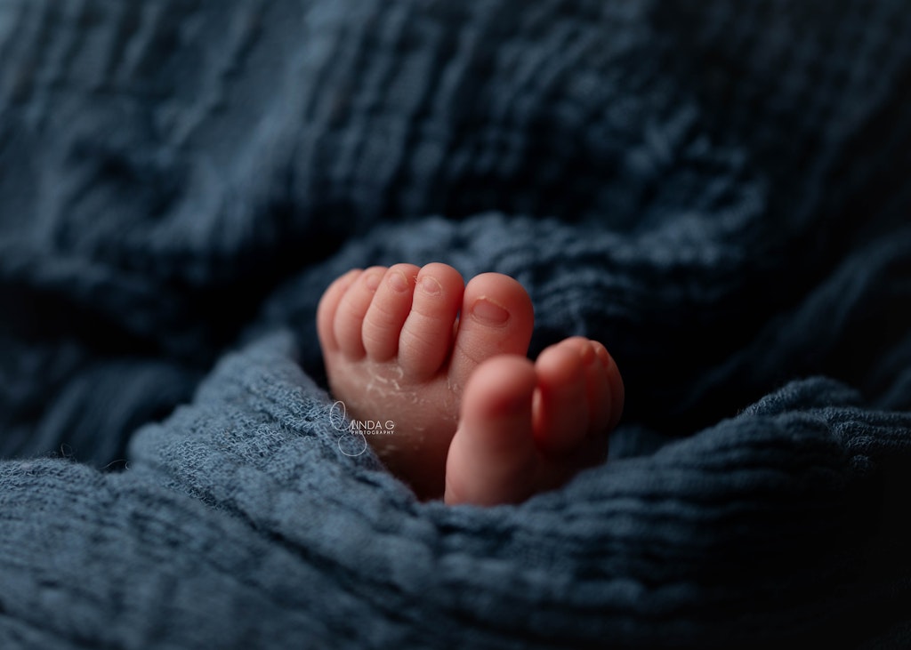 sydney, newborn, photography, studio, LindaGPhotography