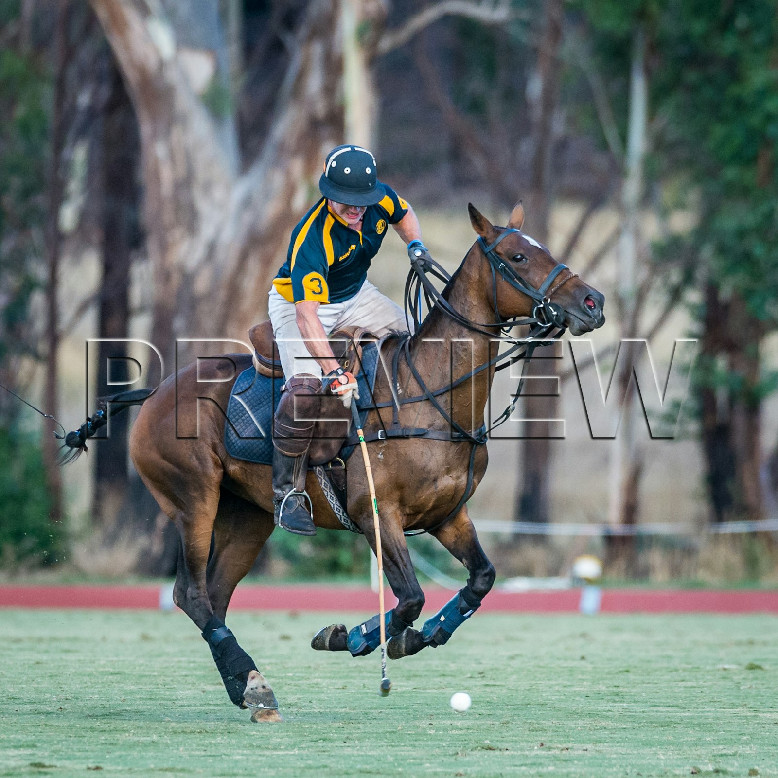 2021 Murray Cup Final