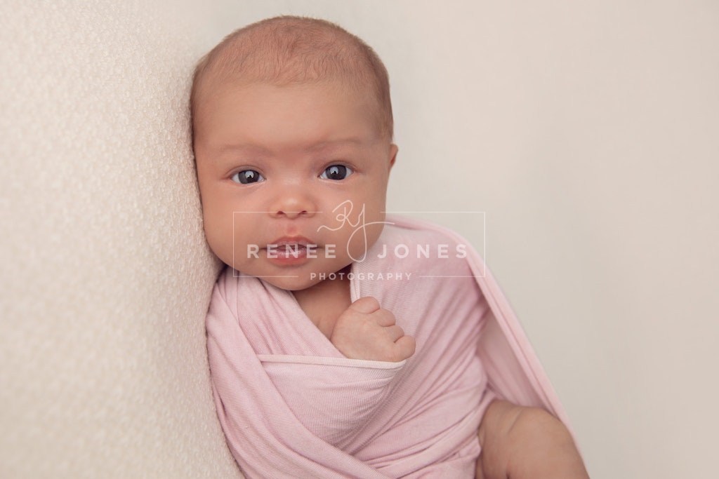 DAVIS_B-2 - Beautiful baby looking directly at the camera wrapped in a pale pink wrap.