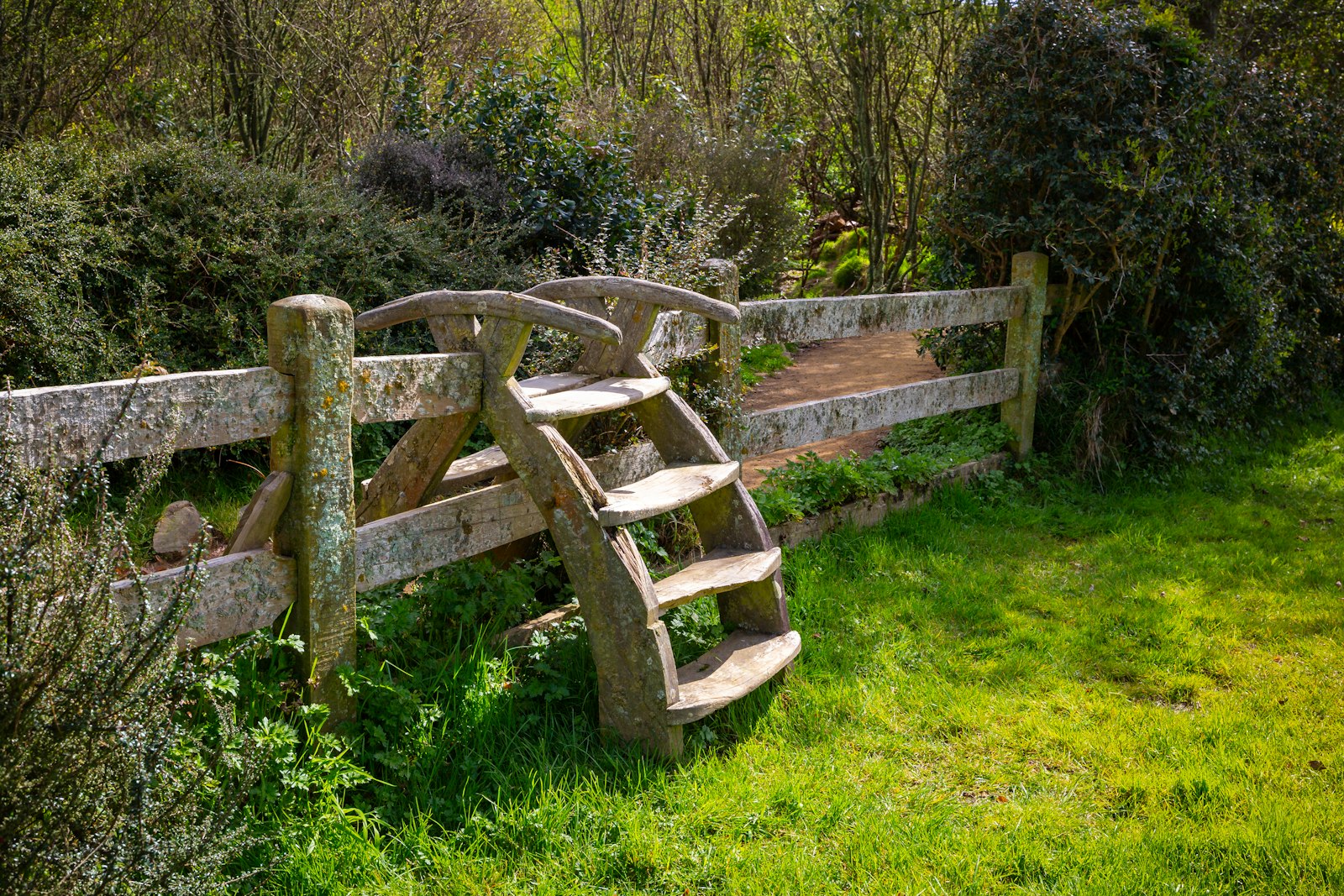 Hobbiton-32