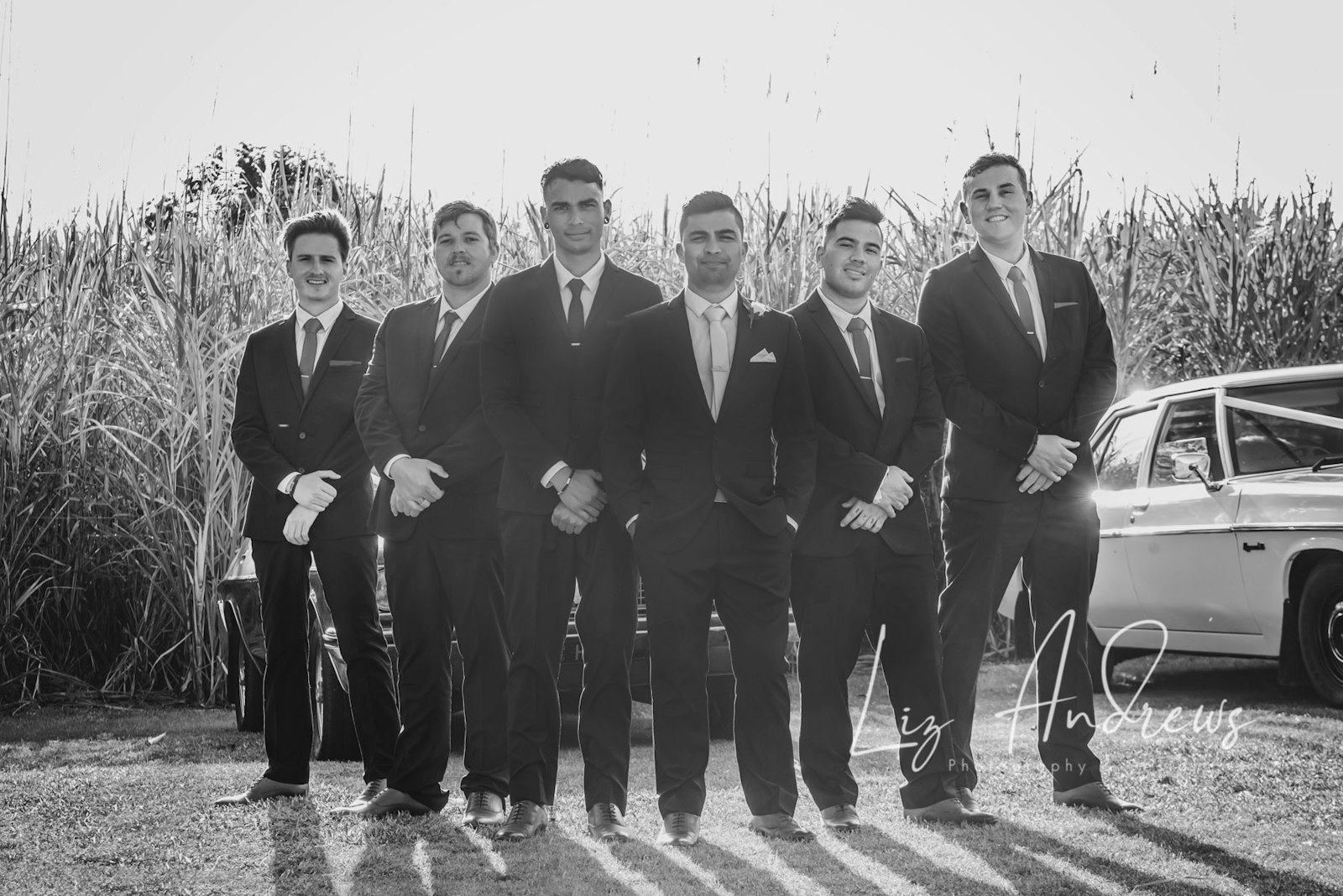DSC_0684 copy