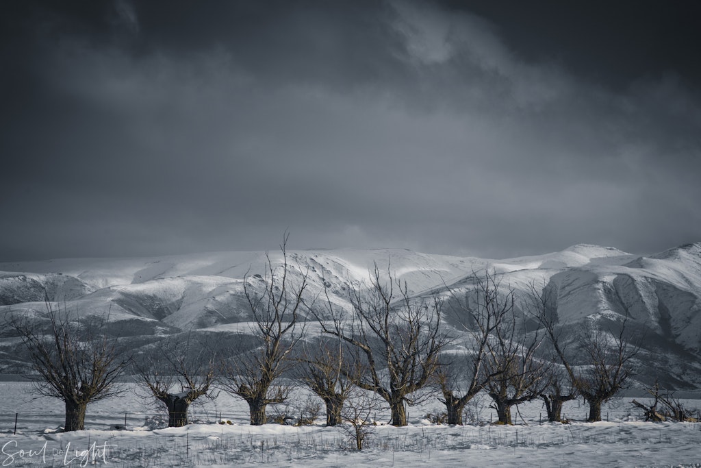 Surviving the Winter - Mackenzie Country