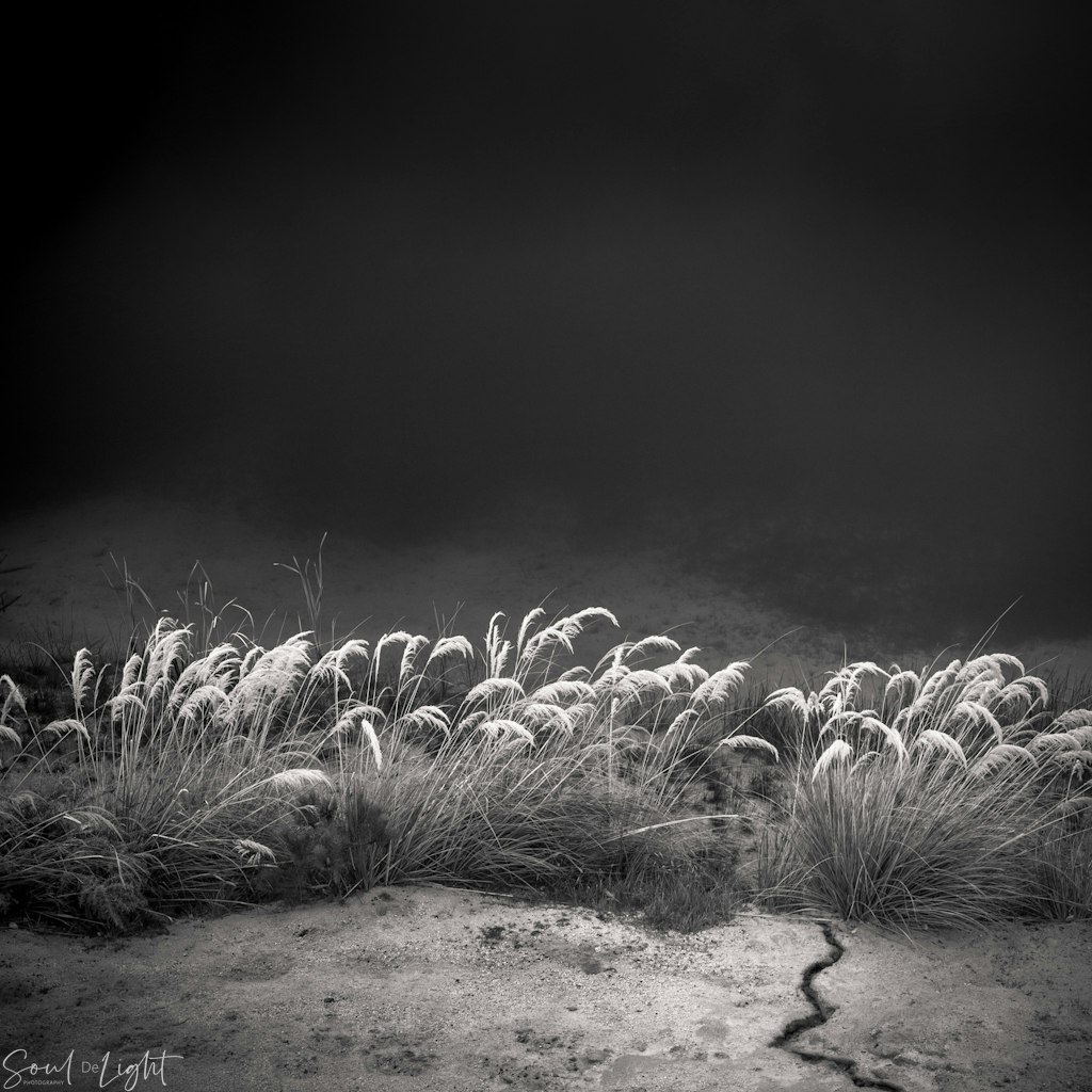 Crack - St Bathans