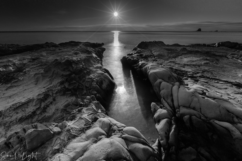 Pathway to a New Day - Mangawhai, Northland